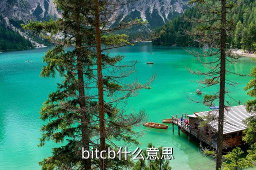 bitcb什么意思