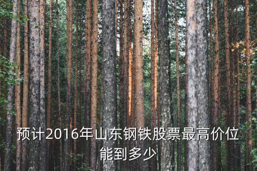 山東鋼鐵股票歷史最高什么價錢，預計2016年山東鋼鐵股票最高價位能到多少