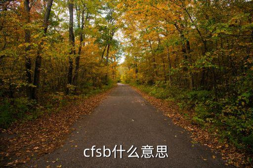 cfpb什么意思，cfsb什么意思