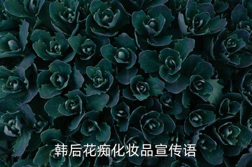 韓后花癡化妝品宣傳語(yǔ)