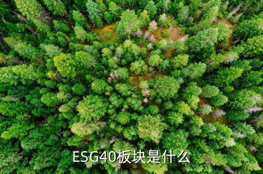 股票入選esg40是什么意思，ESG40板塊是什么