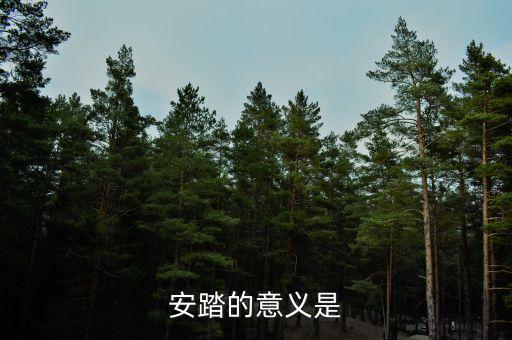 私募應(yīng)安踏在世界上有什么地位，私募在社會各界人士心目中的地位如何