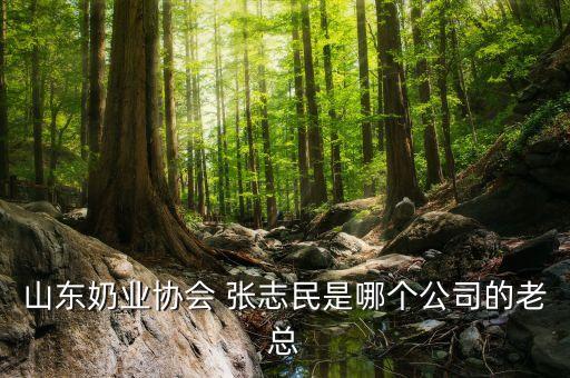 山東奶業(yè)協(xié)會 張志民是哪個公司的老總