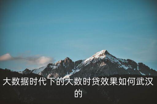 大數(shù)據(jù)時代下的大數(shù)時貸效果如何武漢的