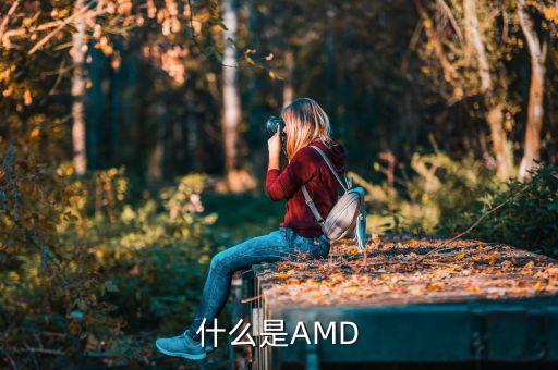 什么是AMD