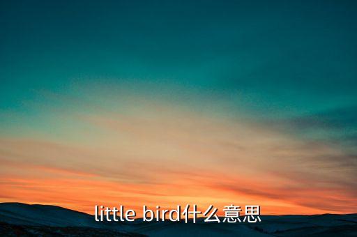 little bird什么意思