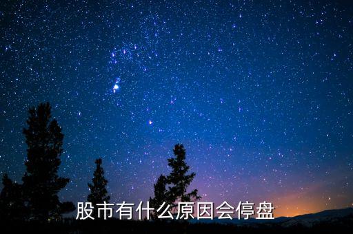 002203為什么停盤，股市有什么原因會停盤