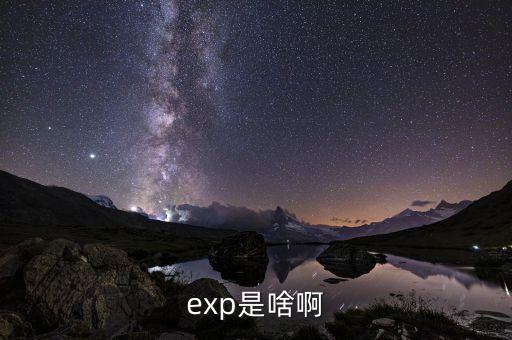 expd是什么意思，exp是啥啊