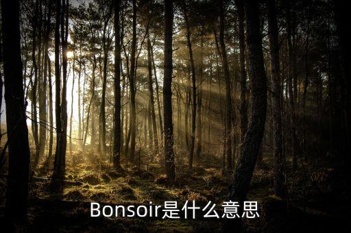 卓易云是什么，Bonsoir是什么意思