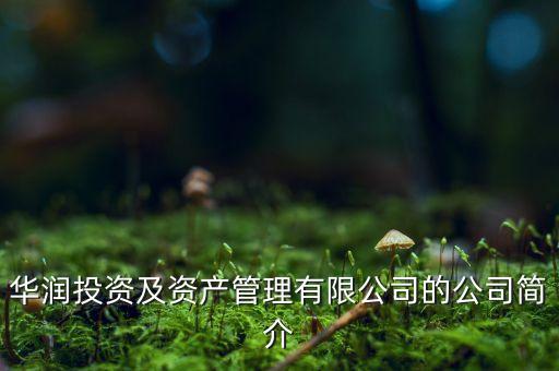 華潤投資及資產(chǎn)管理有限公司的公司簡介