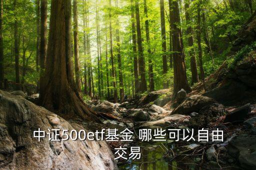 中證500etf基金 哪些可以自由交易