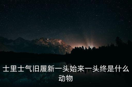 士里士氣舊履新一頭始來(lái)一頭終是什么動(dòng)物