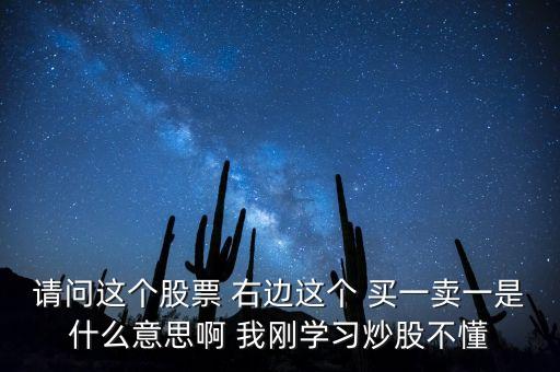 請(qǐng)問(wèn)這個(gè)股票 右邊這個(gè) 買(mǎi)一賣(mài)一是什么意思啊 我剛學(xué)習(xí)炒股不懂