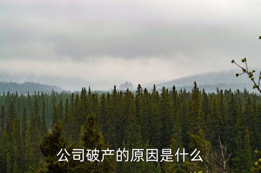 三英集團(tuán)為什么破產(chǎn)，公司破產(chǎn)的原因是什么