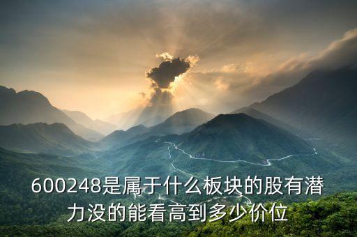 600248是屬于什么板塊的股有潛力沒的能看高到多少價(jià)位