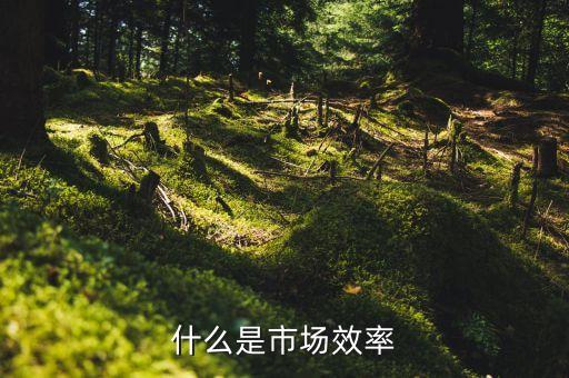 外匯市場效率理論是什么，介紹一些實用基礎(chǔ)精僻的經(jīng)濟(jì)學(xué)著作