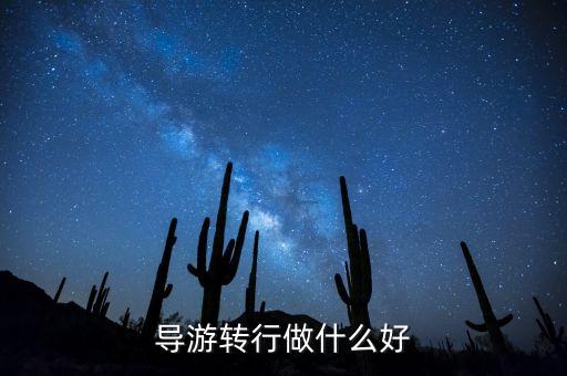 導(dǎo)游轉(zhuǎn)行做什么好，導(dǎo)游轉(zhuǎn)行做什么好