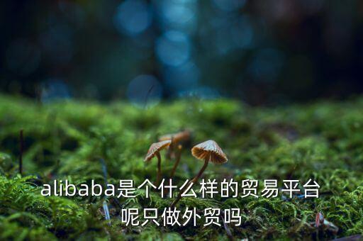 alibaba是個什么樣的貿易平臺呢只做外貿嗎