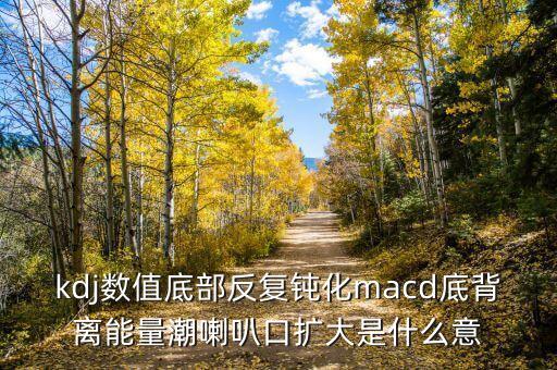 kdj數(shù)值底部反復(fù)鈍化macd底背離能量潮喇叭口擴(kuò)大是什么意