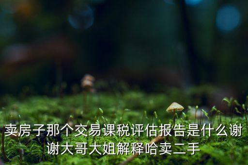 交易課稅是什么意思，名詞解釋證券交易稅