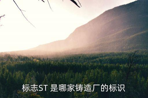 標(biāo)志ST 是哪家鑄造廠的標(biāo)識