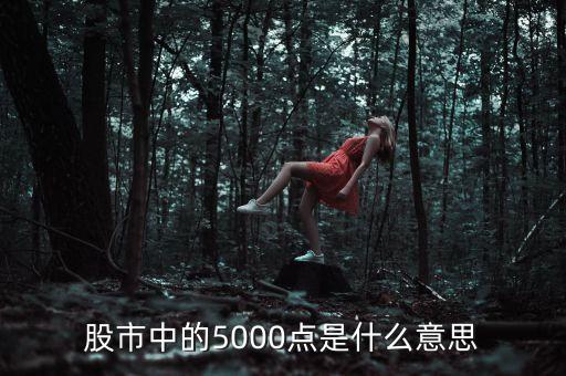 股市中的5000點(diǎn)是什么意思