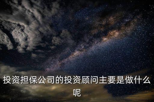 投資擔(dān)保公司的投資顧問主要是做什么呢