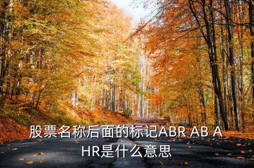 股票abr什么意思，RENJIALIRenJiaLiR是甚么意思