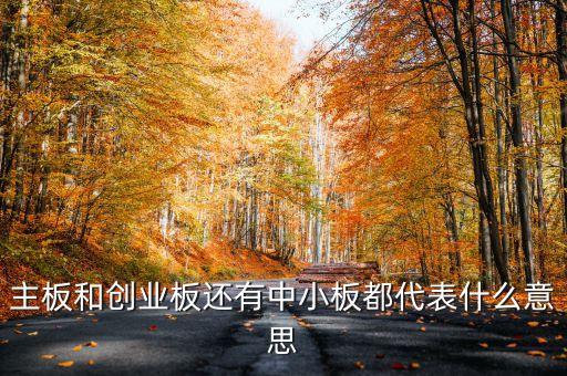 滬市主板是什么意思，什么是主板中小板和創(chuàng)業(yè)板它們都是干什么的請用白話簡短精