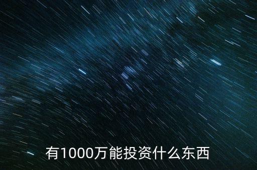 1000萬投資什么好，有1000萬能投資什么東西