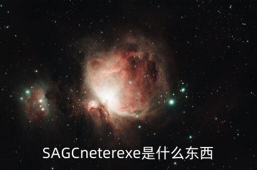 SAGCneterexe是什么東西