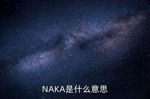 NAKA是什么意思