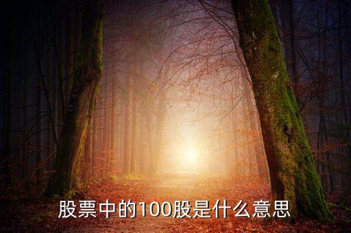 股票中的100股是什么意思