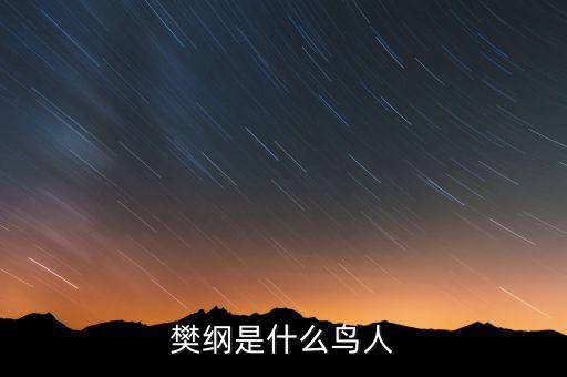 樊綱是什么鳥(niǎo)人，那些唱歌的明星是什么鳥(niǎo)人他門(mén)有什么用嗎