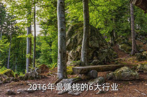 2016年最賺錢(qián)的6大行業(yè)