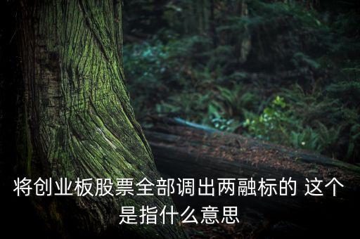 股票兩融是什么意思，兩融是什么意思