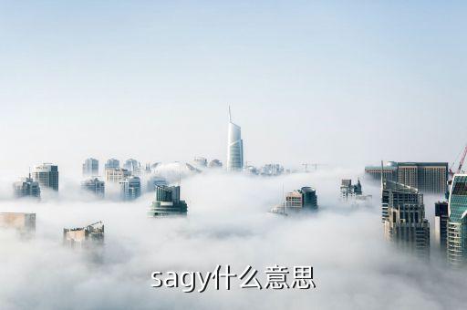 網(wǎng)御星云sag是什么，SAG是什么