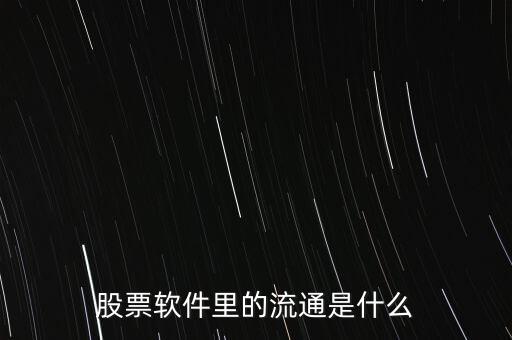 股票流通什么意思，股票軟件里的流通是什么