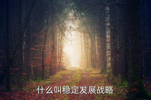 什么是穩(wěn)健發(fā)展，步履已日趨穩(wěn)健 是什么意思啊