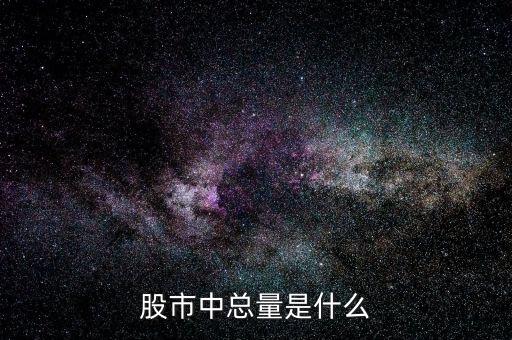 股票中的總量是什么意思，股票中的總量現(xiàn)量是什么意思