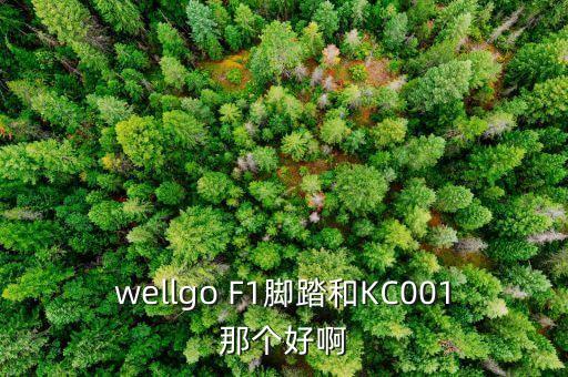 wellgo F1腳踏和KC001那個好啊