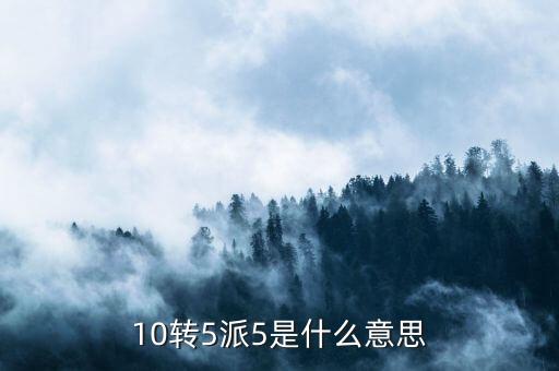 10轉(zhuǎn)5派5是什么意思