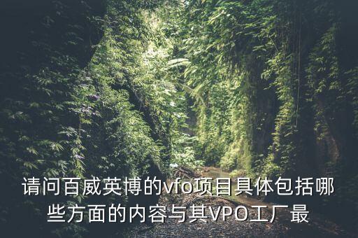 請問百威英博的vfo項(xiàng)目具體包括哪些方面的內(nèi)容與其VPO工廠最