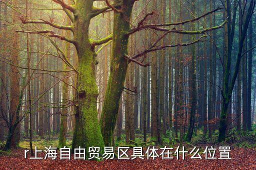 r上海自由貿(mào)易區(qū)具體在什么位置