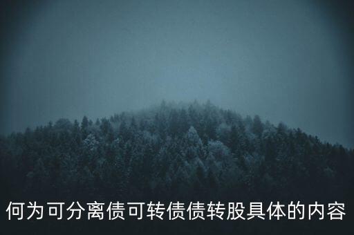 可分離債的主體是什么，債的主體是指和