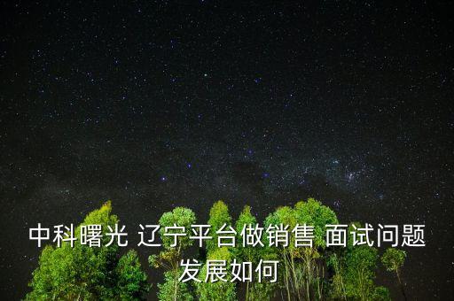 中科曙光 遼寧平臺做銷售 面試問題 發(fā)展如何