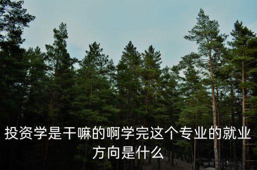 什么是投資學，上海財經大學 公共經濟與管理學院的 投資學 學的是什么