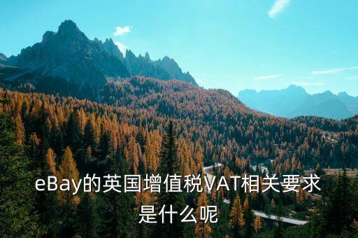 eBay的英國增值稅VAT相關要求是什么呢