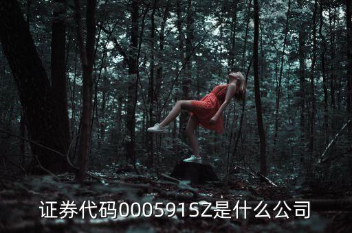 證券代碼000591SZ是什么公司