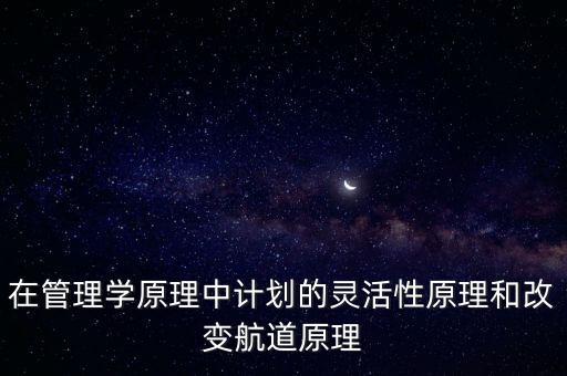 在管理學原理中計劃的靈活性原理和改變航道原理